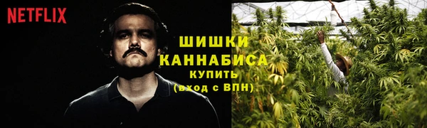 стаф Майский