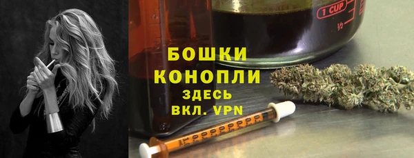 стаф Майский