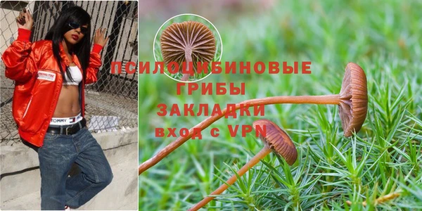 mix Магас