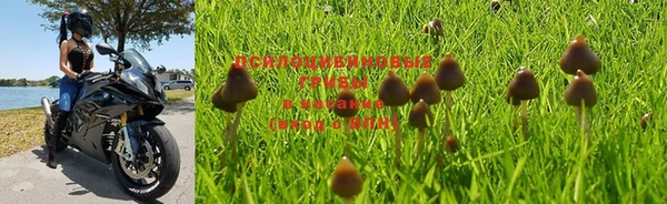 стаф Майский