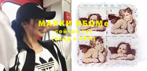 стаф Майский