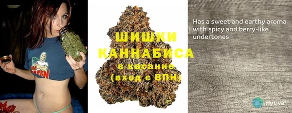 стаф Майский