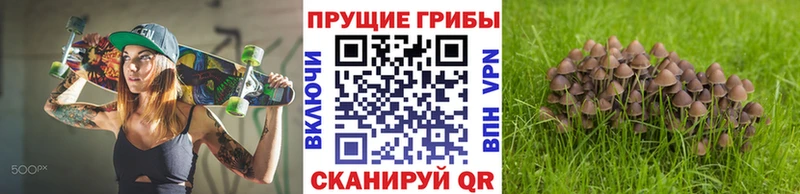Псилоцибиновые грибы Psilocybe  Ува 
